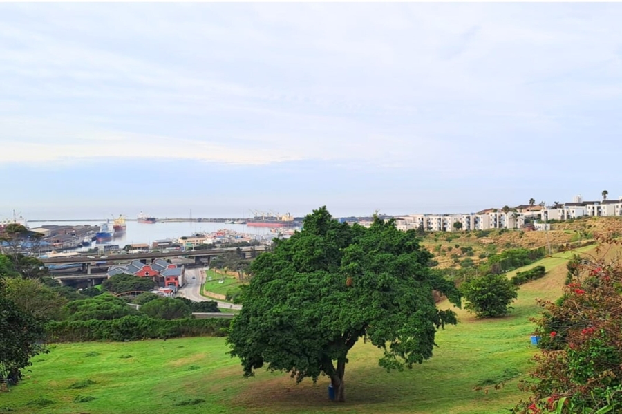 1 Bedroom Property for Sale in Port Elizabeth Central Eastern Cape